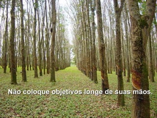 Não coloque objetivos longe de suas mãos.Não coloque objetivos longe de suas mãos.
 