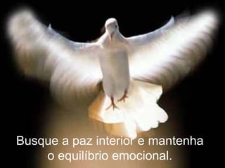Busque a paz interior e mantenha
o equilíbrio emocional.
 