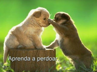Aprenda a perdoar.Aprenda a perdoar.
 