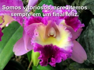 Somos vitoriosos, acreditemosSomos vitoriosos, acreditemos
sempre em um final feliz.sempre em um final feliz.
 