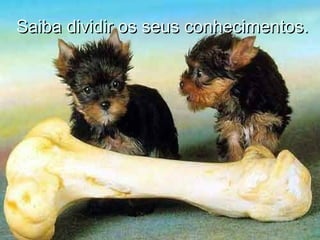 Saiba dividir os seus conhecimentos.Saiba dividir os seus conhecimentos.
 