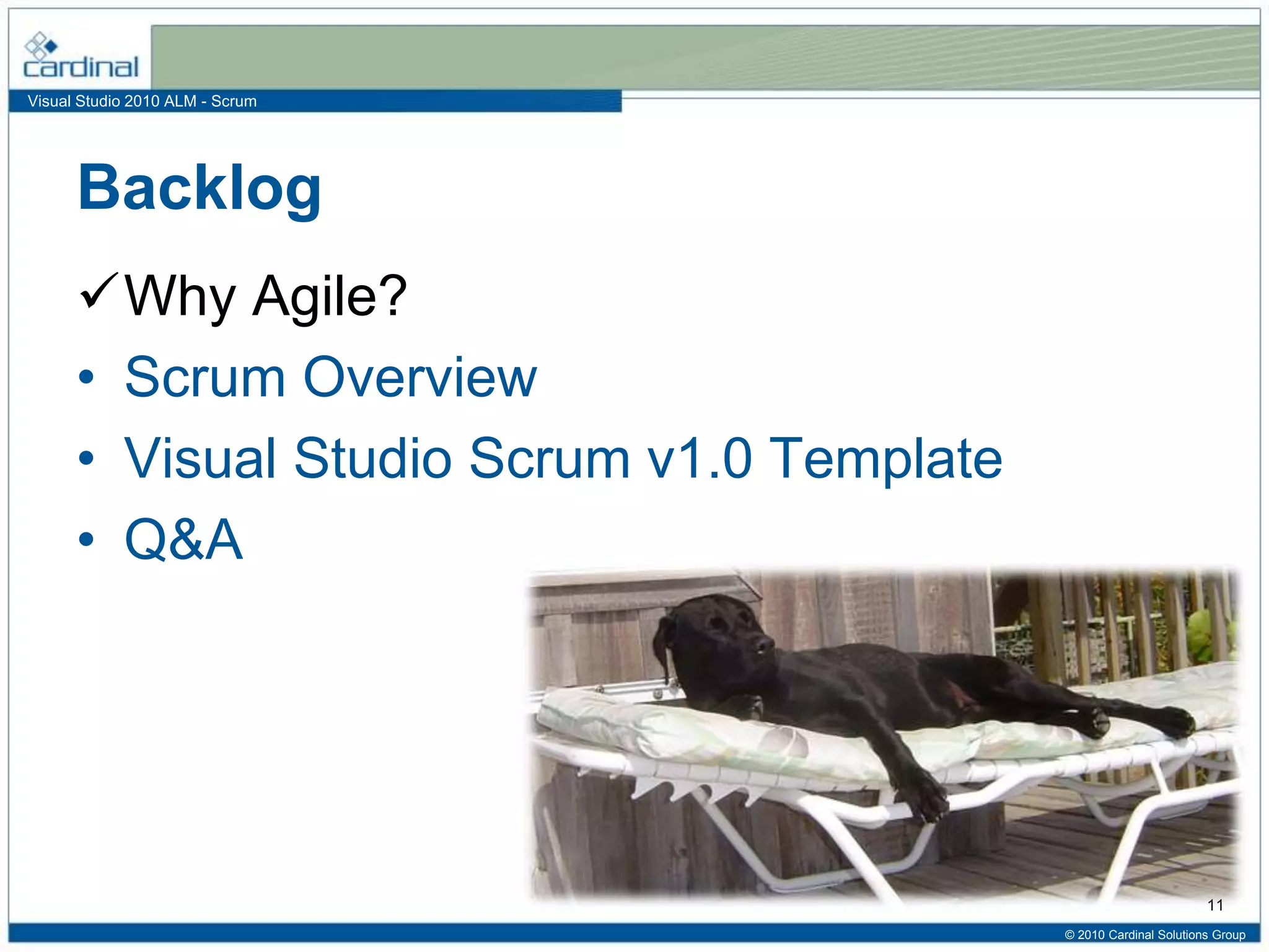 Visual Studio 2010 ALM - Scrum
Backlog
Why Agile?
• Scrum Overview
• Visual Studio Scrum v1.0 Template
• Q&A
© 2010 Cardinal Solutions Group
11
 