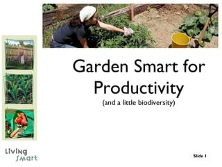 Garden Smart for Productivity (and a little biodiversity) 