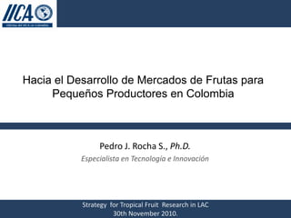 Hacia el Desarrollo de Mercados de Frutas para
     Pequeños Productores en Colombia



                Pedro J. Rocha S., Ph.D.
           Especialista en Tecnología e Innovación




           Strategy for Tropical Fruit Research in LAC
                     30th November 2010.
 