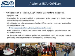 Acciones IICA (Col/Esp)

– Participación en la Feria ANUGA (Alemania) y Alimentaria (Barcelona)
  • Apoyo de FIAB
  • Interacción de institucionalidad y productores colombianos con instituciones,
    cooperativas y mercados españoles.
  • Identificación de rubros como promisorios, diferenciados y con gran potencial en
    mercado internacional.
    – Frutas tropicales (pasifloras, berries), cafés especiales, cacao.
  • Estos productos se están requiriendo con valor agregado, principalmente para
    mercado industrial.
  • La demanda está enfocada en productos intermedios como insumo en diversos
    procesos y sectores (alimentario, farmacéutico, cosmético, etc.).
 