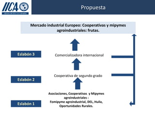 Propuesta

      Mercado industrial Europeo: Cooperativas y mipymes
                   agroindustriales: frutas.




Eslabón 3          Comercializadora internacional




                  Cooperativa de segundo grado
Eslabón 2


               Asociaciones, Cooperativas y Mipymes
                         agroindustriales :
                Fomipyme agroindustrial, DEL, Huila,
Eslabón 1             Oportunidades Rurales.
 