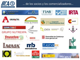 … de los socios y los comercializadores…
 