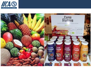 Hacia el Desarrollo de Mercados de Frutas para Pequeños Productores en Colombia, IICA