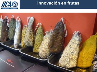 Hacia el Desarrollo de Mercados de Frutas para Pequeños Productores en Colombia, IICA