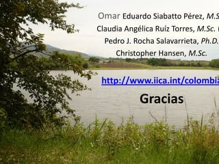 Hacia el Desarrollo de Mercados de Frutas para Pequeños Productores en Colombia, IICA