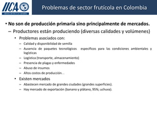 Hacia el Desarrollo de Mercados de Frutas para Pequeños Productores en Colombia, IICA