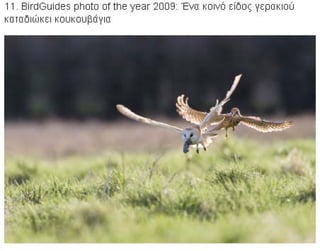 η άγρια ζωή μέσα από βραβευμένες το 2010 φωτογραφίες