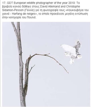 η άγρια ζωή μέσα από βραβευμένες το 2010 φωτογραφίες