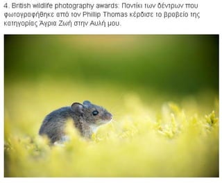 η άγρια ζωή μέσα από βραβευμένες το 2010 φωτογραφίες