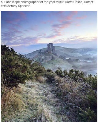 η άγρια ζωή μέσα από βραβευμένες το 2010 φωτογραφίες