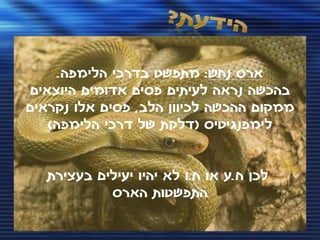 ‫ארס נחש: מתפשט בדרכי הלימפה.‬
‫בהכשה נראה לעיתים פסים אדומים היוצאים‬
‫ממקום ההכשה לכיוון הלב, פסים אלו נקראים‬
   ‫לימפנגיטיס (דלקת של דרכי הלימפה)‬


   ‫לכן ח.ע או ח.ו לא יהיו יעילים בעצירת‬
            ‫התפשטות הארס‬
 