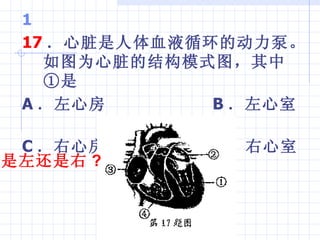 17 ѪҺѭĶáͼΪĽṹģʽͼТ A ķ  B   C ķ  D   ? 