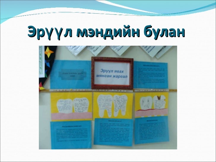 манай анги 2010