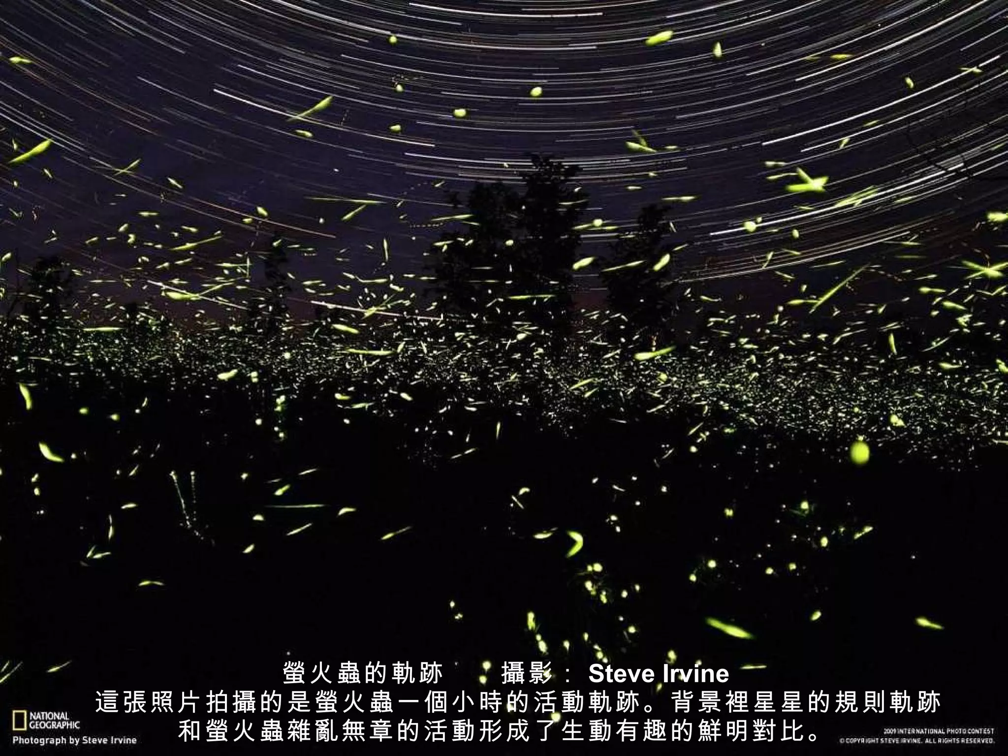 螢 火 蟲 的 軌跡 　　 攝 影： Steve Irvine 　 這張 照片拍 攝 的是 螢 火 蟲 一 個 小 時 的活 動軌跡 。背景 裡 星星的 規則軌跡 和 螢 火 蟲雜亂無 章的活 動 形成了生 動 有趣的 鮮 明 對 比。 