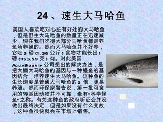 24 、速生大马哈鱼 美国人喜欢吃对心脏有好处的大马哈鱼，但是野生大马哈鱼的数量正在迅速减少，现在我们吃得大部分马哈鱼都是养鱼场养殖的。然而大马哈鱼并不好养，它吃 3 磅 (1.36 公斤 ) 食物才能长出 1 磅 (453.59 克 ) 肉。对此美国 AquaBounty 公司想出的解决办法，是把大鳞大马哈鱼的基因与一种鳗鱼的基因结合，培养速生大马哈鱼。这种鱼的生长速度是普通大马哈鱼的 2 倍，更易养殖。然而环保家警告说，第一批可食用的转基因动物并不可靠，素有“科学怪鱼”之称。有关这种鱼的政府听证会并没做出最终决定，但是如果没有什么变故，这种鱼很快就会在市场上销售。 