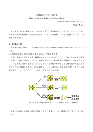 放射線の人体への影響
              Effects of Ionizing Radation to Human Body
                                                放射線医学総合研究所    酒井一夫
                                                           Kazuo Sakai


     放射線はどんなに微量であっても有害であると言われることがあるが、ここでは人体へ
の影響が線量や線量率（単位時間あたりに与えられる線量）に大きく依存することにつき
検討を加えたい。


1.   影響の分類
     放射線防護の分野では、放射線の生体への影響を線量との関係の観点から２種類に分類
する。
(1) 確定的影響：細胞が失われることによって起こる影響
     人間の体はさまざまな組織・臓器から構成されている。さらに、それぞれの組織・臓器
は数多くの細胞で構成されている。放射線を受けると組織・臓器を構成している細胞がダ
メージを受け、失われることがあるが、失われる細胞がわずかなうちは周囲の細胞がこれ
を補うので、障害として現れることはない。しかしながら、線量が高くなり、失われた細
胞を補うことができなくなったときに、障害が生じる（図１）。




              図 1：組織の回復力のために「しきい値」が生じる仕組み



     組織の回復能力を越えて障害が現れはじめる線量を「しきい線量」あるいは「しきい値」
と呼ぶ。
 