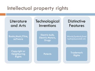 Intellectual property rights 