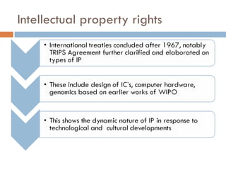Intellectual property rights 