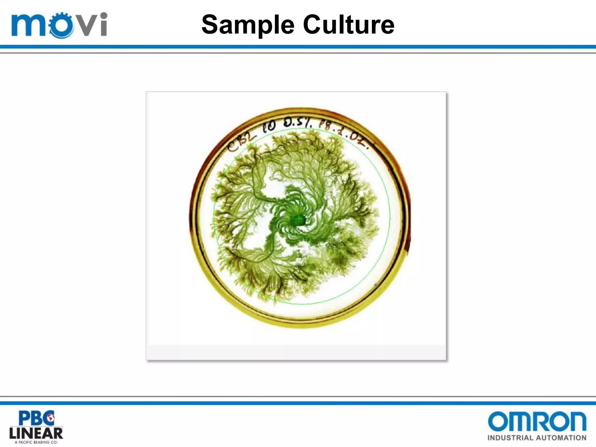 Sample Culture

 