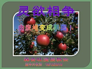 灵欲相争　由废堆变成果园！　森峇旺浸信教会　　　蓝华兴牧师　19/12/2010　　　