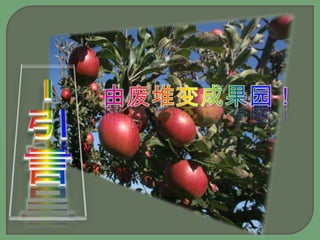 I引言由废堆变成果园！