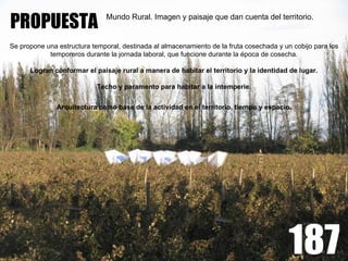 PROPUESTA                      Mundo Rural. Imagen y paisaje que dan cuenta del territorio.


Se propone una estructura temporal, destinada al almacenamiento de la fruta cosechada y un cobijo para los
            temporeros durante la jornada laboral, que funcione durante la época de cosecha.

      Logran conformar el paisaje rural a manera de habitar el territorio y la identidad de lugar.

                            Techo y paramento para habitar a la intemperie.


               Arquitectura como base de la actividad en el territorio, tiempo y espacio.
 