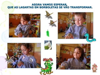 AGORA VAMOS ESPERAR,  QUE AS LAGARTAS EM BORBOLETAS SE VÃO TRANSFORMAR. 