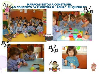 MARACAS ESTOU A CONSTRUIR, AO CONCERTO “A FLORESTA D` ÁGUA”  EU QUERO IR! 