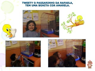 TWEETY O PASSARINHO DA RAFAELA, TEM UMA BONITA COR AMARELA. 
