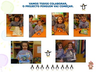 VAMOS TODOS COLABORAR, O PROJECTO PINGUIM VAI COMEÇAR. 