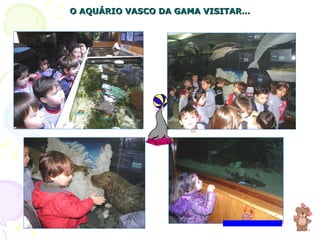 O AQUÁRIO VASCO DA GAMA VISITAR… 