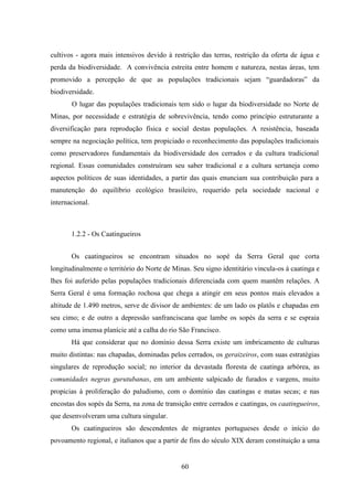 60
cultivos - agora mais intensivos devido à restrição das terras, restrição da oferta de água e
perda da biodiversidade. A convivência estreita entre homem e natureza, nestas áreas, tem
promovido a percepção de que as populações tradicionais sejam “guardadoras” da
biodiversidade.
O lugar das populações tradicionais tem sido o lugar da biodiversidade no Norte de
Minas, por necessidade e estratégia de sobrevivência, tendo como princípio estruturante a
diversificação para reprodução física e social destas populações. A resistência, baseada
sempre na negociação política, tem propiciado o reconhecimento das populações tradicionais
como preservadores fundamentais da biodiversidade dos cerrados e da cultura tradicional
regional. Essas comunidades construíram seu saber tradicional e a cultura sertaneja como
aspectos políticos de suas identidades, a partir das quais enunciam sua contribuição para a
manutenção do equilíbrio ecológico brasileiro, requerido pela sociedade nacional e
internacional.
1.2.2 - Os Caatingueiros
Os caatingueiros se encontram situados no sopé da Serra Geral que corta
longitudinalmente o território do Norte de Minas. Seu signo identitário vincula-os à caatinga e
lhes foi auferido pelas populações tradicionais diferenciada com quem mantêm relações. A
Serra Geral é uma formação rochosa que chega a atingir em seus pontos mais elevados a
altitude de 1.490 metros, serve de divisor de ambientes: de um lado os platôs e chapadas em
seu cimo; e de outro a depressão sanfranciscana que lambe os sopés da serra e se espraia
como uma imensa planície até a calha do rio São Francisco.
Há que considerar que no domínio dessa Serra existe um imbricamento de culturas
muito distintas: nas chapadas, dominadas pelos cerrados, os geraizeiros, com suas estratégias
singulares de reprodução social; no interior da devastada floresta de caatinga arbórea, as
comunidades negras gurutubanas, em um ambiente salpicado de furados e vargens, muito
propicias à proliferação do paludismo, com o domínio das caatingas e matas secas; e nas
encostas dos sopés da Serra, na zona de transição entre cerrados e caatingas, os caatingueiros,
que desenvolveram uma cultura singular.
Os caatingueiros são descendentes de migrantes portugueses desde o início do
povoamento regional, e italianos que a partir de fins do século XIX deram constituição a uma
 
