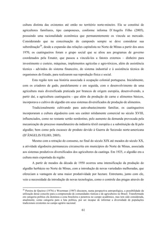 61
cultura distinta das existentes até então no território norte-mineiro. Ela se constitui de
agricultores familiares, tipo camponeses, conforme informa D´Angelis Filho (2005),
possuindo uma racionalidade econômica que permanentemente os vincula ao mercado.
Considerando que na conceituação do camponês sempre se deve considerar sua
subordinação28
, desde a expansão das relações capitalista no Norte de Minas a partir dos anos
1970, os caatingueiros foram o grupo social que se aliou aos programas de governo
coordenados pela Emater, que passou a vinculá-los a fatores externos – dinheiro para
investimento e custeio, máquinas, implementos agrícolas e agro-tóxicos, além de assistência
técnica - advindos do sistema financeiro, do sistema industrial e à assistência técnica de
organismos do Estado, para realizarem sua reprodução física e social.
Esta região tem sua história associada à ocupação colonial portuguesa. Inicialmente,
com os criadores de gado, paralelamente e em seguida, com o desenvolvimento de uma
agricultura mais diversificada praticada por brancos de origem européia, desenvolvendo, a
partir daí, a agricultura caatingueira - que além da produção de carne e alimentos básicos,
incorporava o cultivo do algodão em seus sistemas diversificados de produção de alimentos.
Tradicionalmente cultivando para auto-abastecimento familiar, os caatingueiros
incorporaram a cultura algodoeira com seu caráter nitidamente comercial no século XVIII,
influenciados, como no restante sertão nordestino, pelo aumento da demanda provocada pela
mecanização do processo manufatureiro da indústria têxtil européia e a substituição da lã pelo
algodão; bem como pela escassez de produto devido à Guerra de Secessão norte-americana
(D‟ÂNGELIS FILHO, 2005).
Mesmo com a retração do consumo, no final do século XIX até meados do século XX,
a atividade algodoeira permaneceu circunscrita em municípios do Norte de Minas, associada
aos sistemas produtivos diversificados dos agricultores da caatinga. Em 1925, o algodão era a
cultura mais exportada da região.
A partir de meados da década de 1950 ocorreu uma intensificação da produção do
algodão herbáceo no Norte de Minas, com a introdução de novas variedades melhoradas, que
ofereciam a vantagem de uma maior produtividade por hectare. Entretanto, junto com ele,
veio a necessidade da introdução de novas tecnologias, como o controle das pragas através do
28
Pereira de Queiroz (1976) e Woortman (1987) discutem, numa perspectiva antropológica, a possibilidade da
utilização desse conceito para a compreensão de comunidades rústicas e de agricultores no Brasil. Transformada
em categoria política ela dominou a cena brasileira e penetrou no campo acadêmico, mas tem sido considerada,
atualmente, como categoria para a luta política, por ser incapaz de informar a diversidade de populações
tradicionais existentes no campo agrário nacional.
 