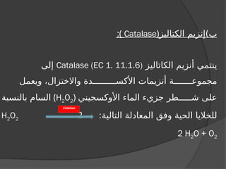 ‫الكتاليز‬ ‫ب)إنزيم‬
(
Catalase
)
:
‫الكاتاليز‬ ‫أنزيم‬ ‫ينتمي‬
Catalase (EC 1. 11.1.6)
‫إلى‬
‫ويعمل‬ ،‫واالختزال‬ ‫األكســـــــــدة‬ ‫أنزيمات‬ ‫مجموعـــــــة‬
‫األوكسجيني‬ ‫الماء‬ ‫جزيء‬ ‫شـــــطر‬ ‫على‬
(
H2O2
)
‫بالنسبة‬ ‫السام‬
:‫التالية‬ ‫المعادلة‬ ‫وفق‬ ‫الحية‬ ‫للخاليا‬
2
H2O2
2 H2O + O2
Catalase
 