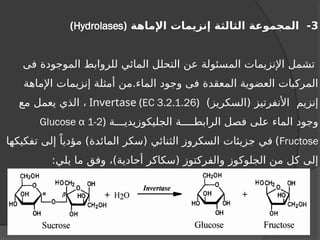 3
‫اإلماهة‬ ‫إنزيمات‬ ‫الثالثة‬ ‫المجموعة‬ -
(
Hydrolases
)
‫فى‬ ‫الموجودة‬ ‫للروابط‬ ‫المائي‬ ‫التحلل‬ ‫عن‬ ‫المسئولة‬ ‫اإلنزيمات‬ ‫تشمل‬
‫اإلماهة‬ ‫إنزيمات‬ ‫أمثلة‬ ‫من‬.‫الماء‬ ‫وجود‬ ‫فى‬ ‫المعقدة‬ ‫العضوية‬ ‫المركبات‬
)‫(السكريز‬ ‫األنفرتيز‬ ‫إنزيم‬
(
EC 3.2.1.26
)
Invertase
‫مع‬ ‫يعمل‬ ‫الذي‬ ،
‫الجليكوزيديـــة‬ ‫الرابطــــة‬ ‫فصل‬ ‫على‬ ‫الماء‬ ‫وجود‬
(
Glucose α 1-2
Fructose
)
‫تفكيكها‬ ‫إلى‬ ً‫مؤديا‬ )‫المائدة‬ ‫(سكر‬ ‫الثنائي‬ ‫السكروز‬ ‫جزيئات‬ ‫في‬
:‫يلي‬ ‫ما‬ ‫وفق‬ ،)‫أحادية‬ ‫(سكاكر‬ ‫والفركتوز‬ ‫الجلوكوز‬ ‫من‬ ‫كل‬ ‫إلى‬
 