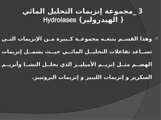 3
‫المائي‬ ‫التحليل‬ ‫إنزيمات‬ ‫_مجموعة‬
)‫الهيدروليز‬ (
Hydrolases

‫ي‬ ‫الت‬ ‫اإلنزيمات‬ ‫ن‬ ‫م‬ ‫بيرة‬ ‫ك‬ ‫ة‬ ‫مجموع‬ ‫ه‬ ‫يتبع‬ ‫م‬ ‫القس‬ ‫وهذا‬
‫إنزيمات‬ ‫ل‬ ‫يشم‬ ‫ث‬ ‫حي‬ ‫ي‬ ‫المائ‬ ‫ل‬ ‫التحلي‬ ‫تفاعالت‬ ‫اعد‬ ‫تس‬
‫م‬ ‫وأنزي‬ ‫ا‬ ‫النش‬ ‫ل‬ ‫يحل‬ ‫الذي‬ ‫ز‬ ‫األميلي‬ ‫م‬ ‫إنزي‬ ‫ل‬ ‫مث‬ ‫م‬ ‫الهض‬
.‫البروتييز‬ ‫إنزيمات‬ ‫و‬ ‫الليبيز‬ ‫إنزيمات‬ ‫و‬ ‫السكريز‬
 