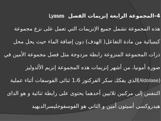 4
‫الفصل‬ ‫إنزيمات‬ ‫الرابعة‬ ‫المجموعة‬-
Lyases
‫مجموعة‬ ‫نزع‬ ‫على‬ ‫تعمل‬ ‫التي‬ ‫اإلنزيمات‬ ‫جميع‬ ‫تشمل‬ ‫المجموعة‬ ‫هذه‬
‫محل‬ ‫يحل‬ ‫حيث‬ ‫الماء‬ ‫إضافة‬ ‫دون‬ )‫الهدف‬ (‫التفاعل‬ ‫مادة‬ ‫من‬ ‫كيميائية‬
‫في‬ ‫األمين‬ ‫مجموعة‬ ‫فصل‬ ‫مثل‬ ‫مزدوجة‬ ‫رابطة‬ ‫المنزوعة‬ ‫المجموعة‬ ‫ذرات‬
‫األلدوليز‬ ‫إنزيم‬ ‫المجموعة‬ ‫هذه‬ ‫إنزيمات‬ ‫أشهر‬ ‫من‬ ،‫أمونيا‬ ‫صورة‬
(
Aldolase
)
‫الفركتوز‬ ‫سكر‬ ‫يفكك‬ ‫الذي‬
1،6
‫عملية‬ ‫أثناء‬ ‫الفوسفات‬ ‫ثنائى‬
‫الداى‬ ‫هو‬ ‫و‬ ‫ثنائية‬ ‫رابطة‬ ‫على‬ ‫يحتوى‬ ‫أحدهما‬ ‫ثالثيين‬ ‫مركبين‬ ‫إلى‬ ‫التنفس‬
‫الفوسفوجليسرالديهيد‬ ‫هو‬ ‫الثاني‬ ‫و‬ ‫أمين‬ ‫أسيتون‬ ‫هيدروكسى‬
 