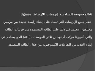 6
‫االرتباط‬ ‫إنزيمات‬ ‫السادسة‬ ‫المجموعة‬-
Ligases
‫مركبين‬ ‫بين‬ ‫جديدة‬ ‫رابطة‬ ‫إنشاء‬ ‫على‬ ‫تعمل‬ ‫التي‬ ‫اإلنزيمات‬ ‫جميع‬ ‫تضم‬
‫الطاقة‬ ‫جزيئات‬ ‫من‬ ‫المستمدة‬ ‫الطاقة‬ ‫على‬ ‫ذلك‬ ‫في‬ ‫وتعتمد‬ ،‫مختلفين‬
( ‫الفوسفات‬ ‫ثالثي‬ ‫أدينوسين‬ ‫مركب‬ ‫أشهرها‬ ‫والتي‬
ATP
‫في‬ ‫يساهم‬ ‫الذي‬ )
‫المنطلقة‬ ‫الطاقة‬ ‫خالل‬ ‫من‬ ‫الكيموحيوية‬ ‫التفاعالت‬ ‫من‬ ‫العديد‬ ‫إتمام‬
 