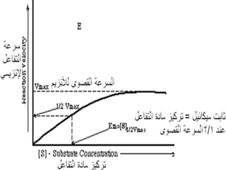 عرض الإنزيمات للمحاضرة  مهم جدتت2010.ppt