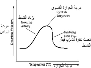 عرض الإنزيمات للمحاضرة  مهم جدتت2010.ppt