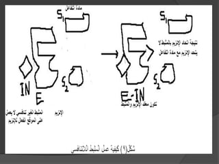 عرض الإنزيمات للمحاضرة  مهم جدتت2010.ppt