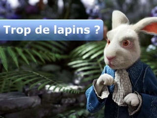 www.xebia.fr / blog.xebia.fr22Trop de lapins ?