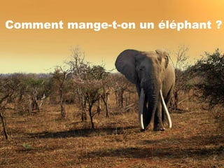 38Comment mange-t-on un éléphant ?