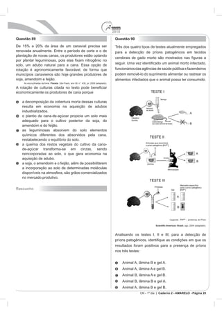 2010
CN - 1º dia | Caderno 2 - AMARELO - Página 28
Questão 89
Planeta
economicamente os produtores de cana porque
Rascunho
Questão 90
Três dos quatro ti
SC
 
