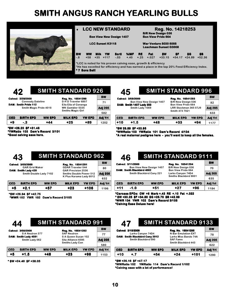 Smith Angus Ranch Bull Sale Catalog 2010